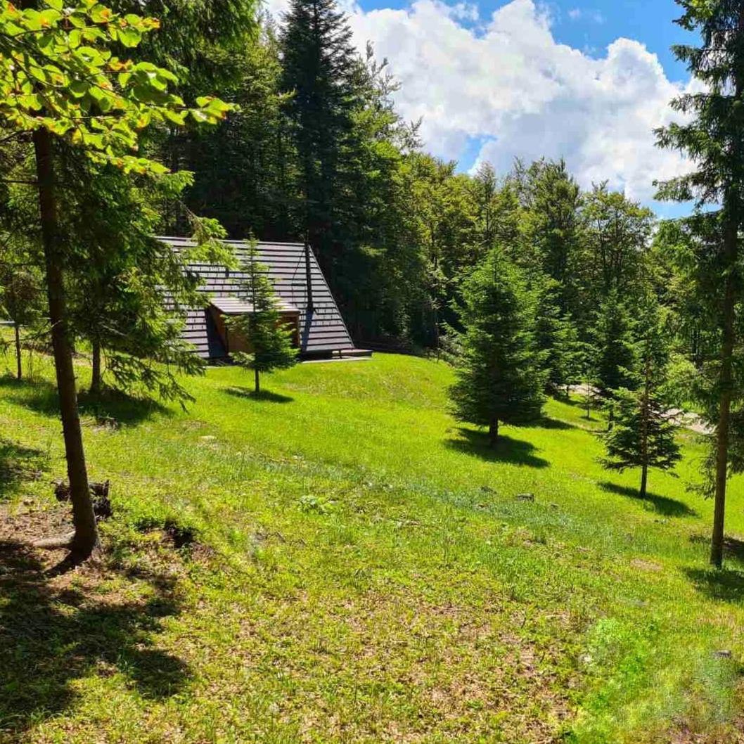 Вилла Vrleti Tare Баина-Башта Экстерьер фото